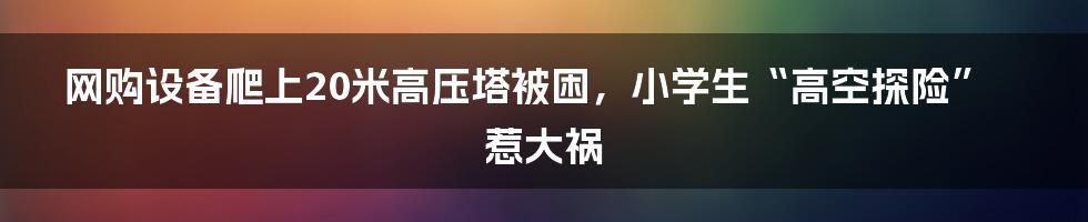 网购设备爬上20米高压塔被困，小学生“高空探险”惹大祸