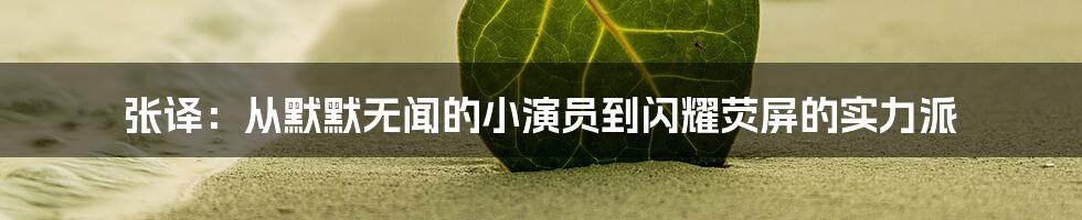 张译：从默默无闻的小演员到闪耀荧屏的实力派