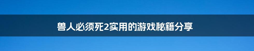 兽人必须死2实用的游戏秘籍分享