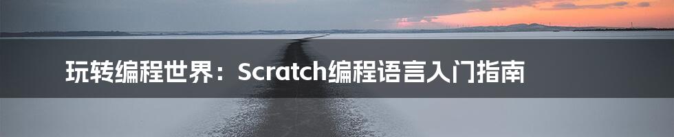 玩转编程世界：Scratch编程语言入门指南