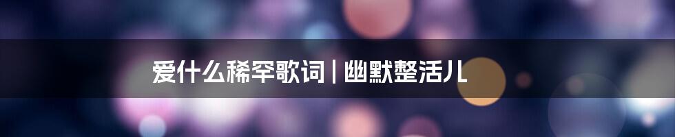 爱什么稀罕歌词 | 幽默整活儿