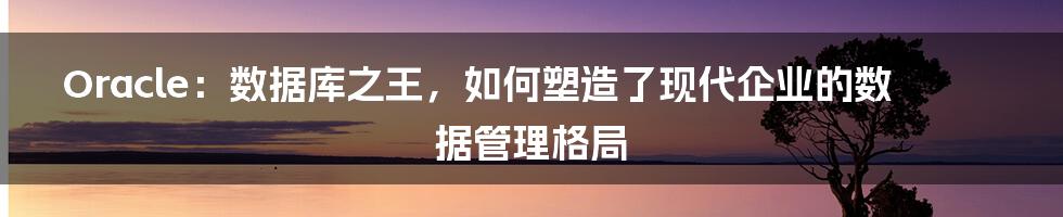 Oracle：数据库之王，如何塑造了现代企业的数据管理格局