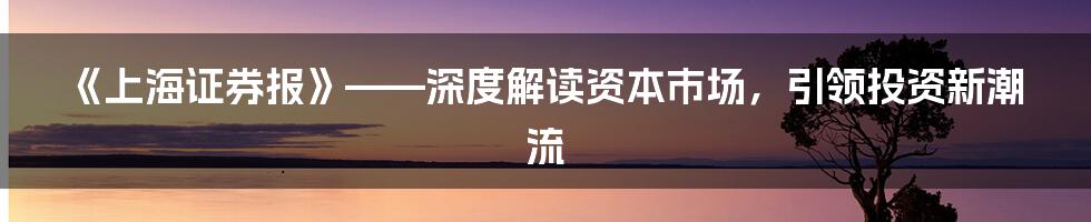 《上海证券报》——深度解读资本市场，引领投资新潮流