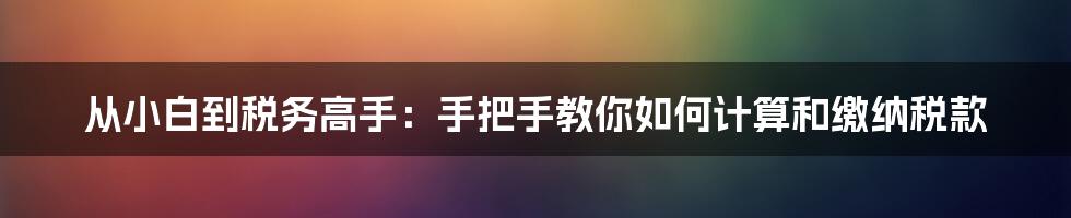 从小白到税务高手：手把手教你如何计算和缴纳税款