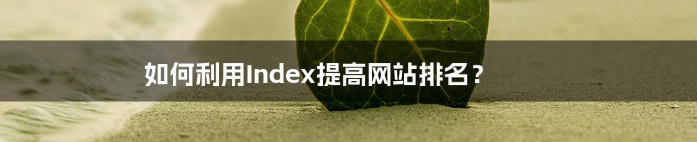 如何利用Index提高网站排名？