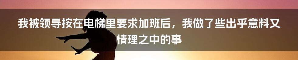 我被领导按在电梯里要求加班后，我做了些出乎意料又情理之中的事