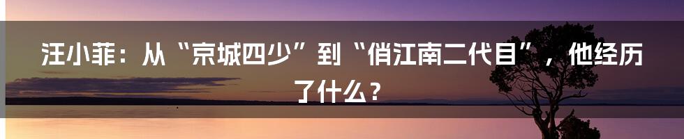 汪小菲：从“京城四少”到“俏江南二代目”，他经历了什么？