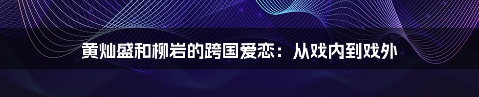 黄灿盛和柳岩的跨国爱恋：从戏内到戏外