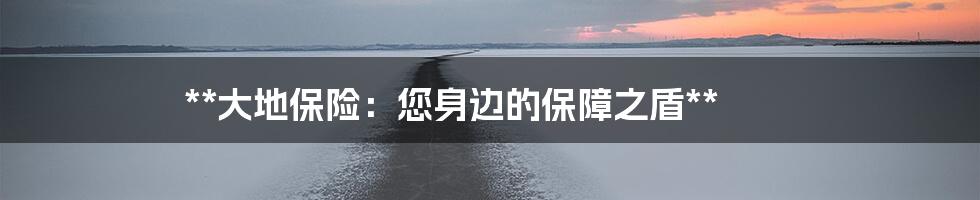 **大地保险：您身边的保障之盾**