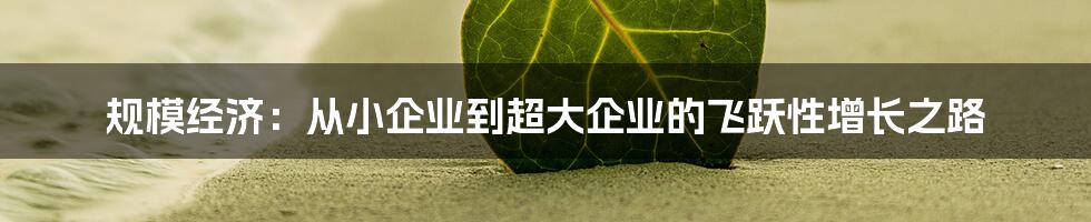 规模经济：从小企业到超大企业的飞跃性增长之路