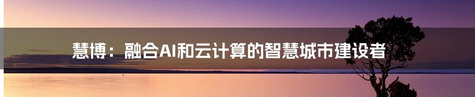 慧博：融合AI和云计算的智慧城市建设者