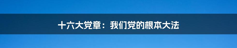 十六大党章：我们党的根本大法