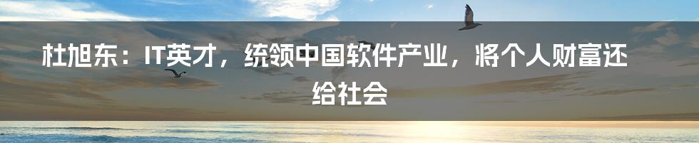 杜旭东：IT英才，统领中国软件产业，将个人财富还给社会