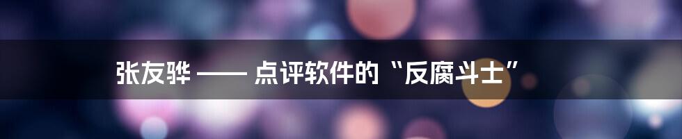 张友骅 —— 点评软件的“反腐斗士”