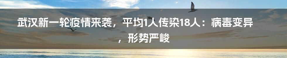 武汉新一轮疫情来袭，平均1人传染18人：病毒变异，形势严峻