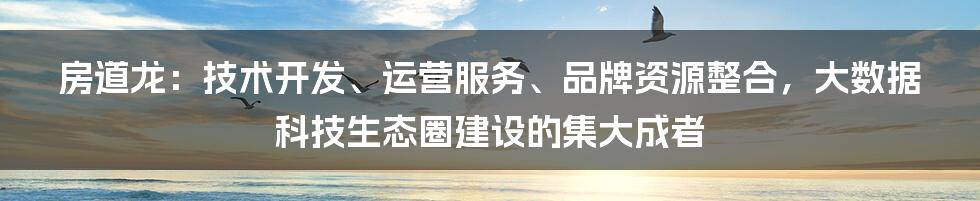 房道龙：技术开发、运营服务、品牌资源整合，大数据科技生态圈建设的集大成者