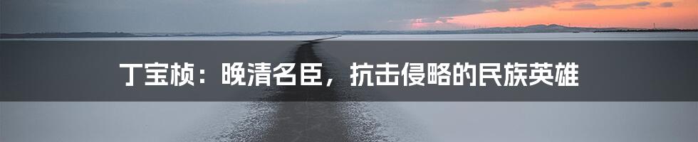 丁宝桢：晚清名臣，抗击侵略的民族英雄