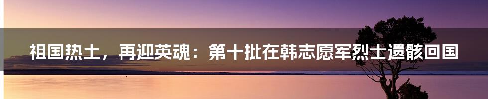 祖国热土，再迎英魂：第十批在韩志愿军烈士遗骸回国