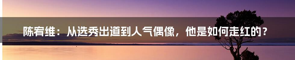 陈宥维：从选秀出道到人气偶像，他是如何走红的？