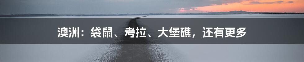 澳洲：袋鼠、考拉、大堡礁，还有更多