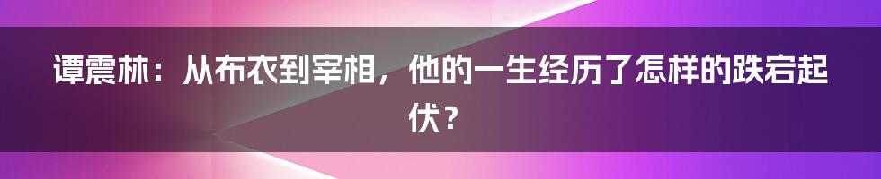 谭震林：从布衣到宰相，他的一生经历了怎样的跌宕起伏？