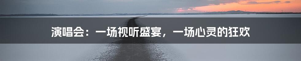 演唱会：一场视听盛宴，一场心灵的狂欢