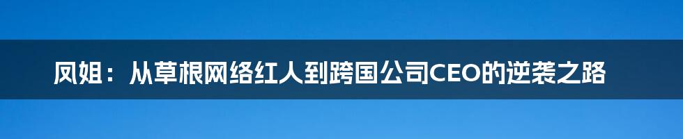 凤姐：从草根网络红人到跨国公司CEO的逆袭之路