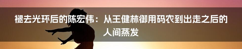 褪去光环后的陈宏伟：从王健林御用码农到出走之后的人间蒸发