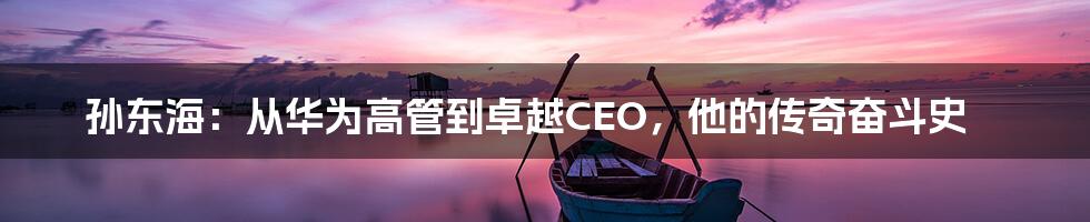 孙东海：从华为高管到卓越CEO，他的传奇奋斗史