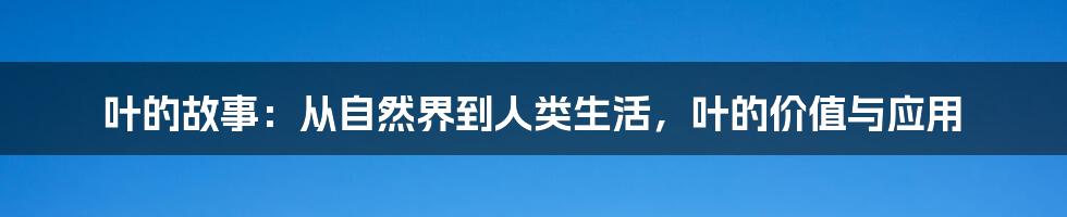 叶的故事：从自然界到人类生活，叶的价值与应用