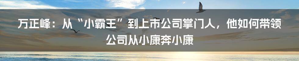 万正峰：从“小霸王”到上市公司掌门人，他如何带领公司从小康奔小康