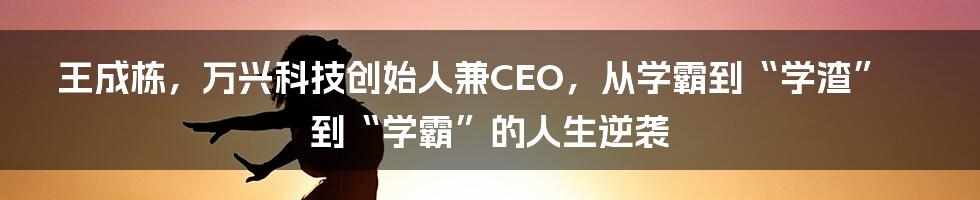 王成栋，万兴科技创始人兼CEO，从学霸到“学渣”到“学霸”的人生逆袭