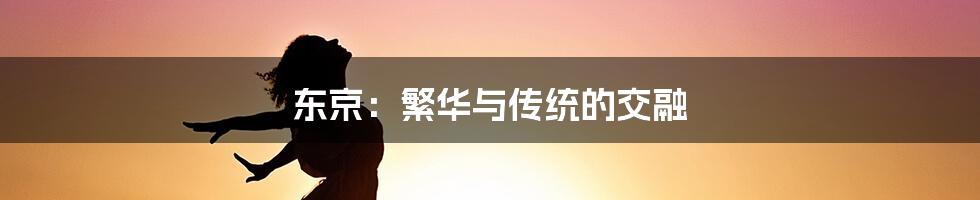 东京：繁华与传统的交融