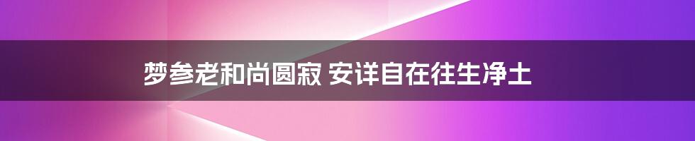 梦参老和尚圆寂 安详自在往生净土