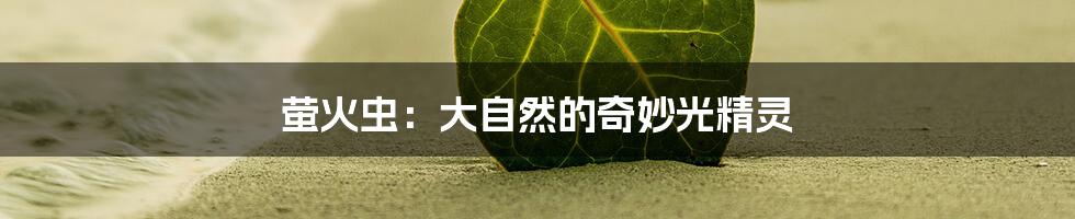 萤火虫：大自然的奇妙光精灵