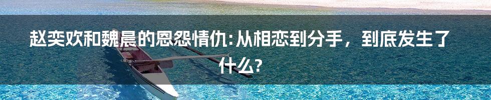 赵奕欢和魏晨的恩怨情仇:从相恋到分手，到底发生了什么?