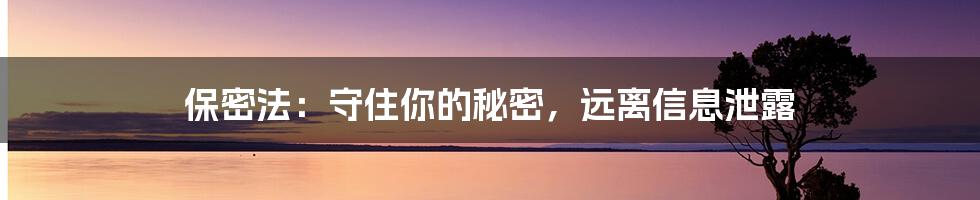 保密法：守住你的秘密，远离信息泄露