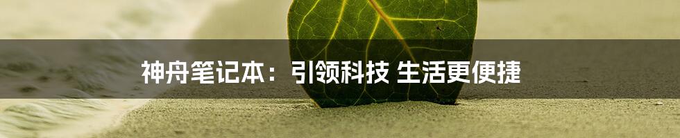 神舟笔记本：引领科技 生活更便捷