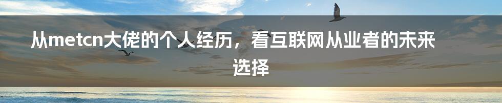 从metcn大佬的个人经历，看互联网从业者的未来选择