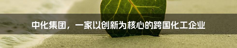 中化集团，一家以创新为核心的跨国化工企业