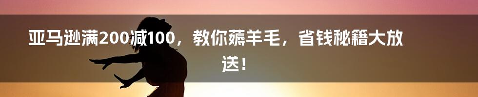 亚马逊满200减100，教你薅羊毛，省钱秘籍大放送！