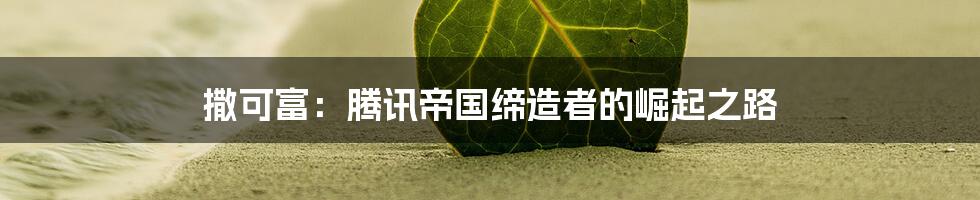 撒可富：腾讯帝国缔造者的崛起之路