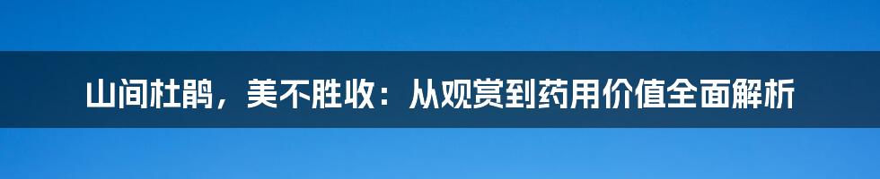 山间杜鹃，美不胜收：从观赏到药用价值全面解析