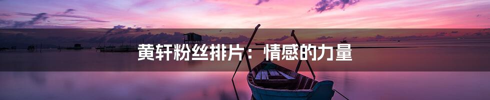 黄轩粉丝排片：情感的力量