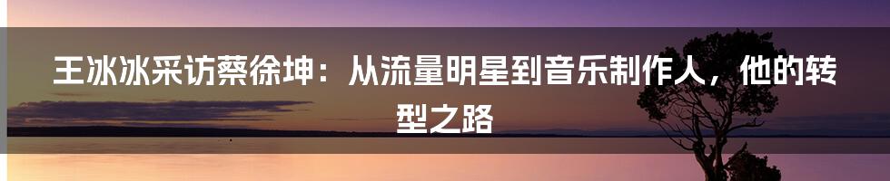 王冰冰采访蔡徐坤：从流量明星到音乐制作人，他的转型之路