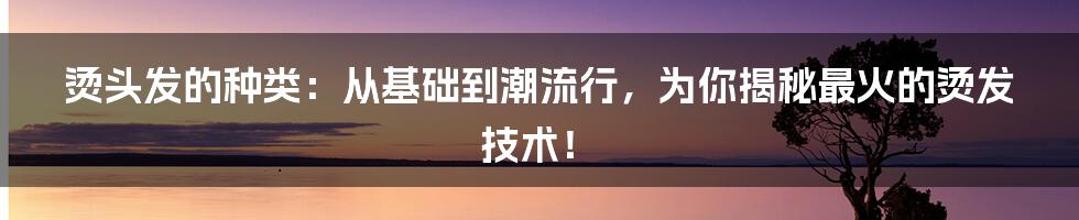 烫头发的种类：从基础到潮流行，为你揭秘最火的烫发技术！