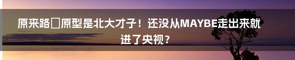 原来路垚原型是北大才子！还没从MAYBE走出来就进了央视？