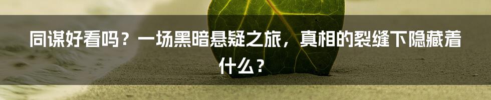 同谋好看吗？一场黑暗悬疑之旅，真相的裂缝下隐藏着什么？