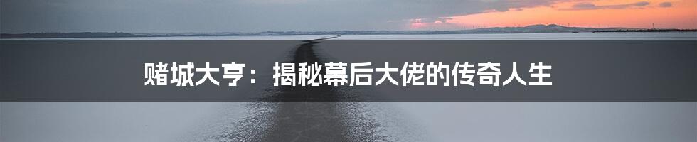 赌城大亨：揭秘幕后大佬的传奇人生