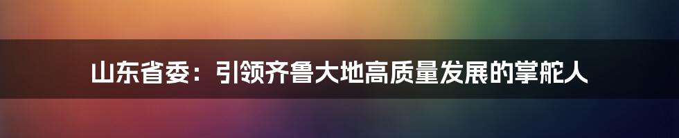 山东省委：引领齐鲁大地高质量发展的掌舵人